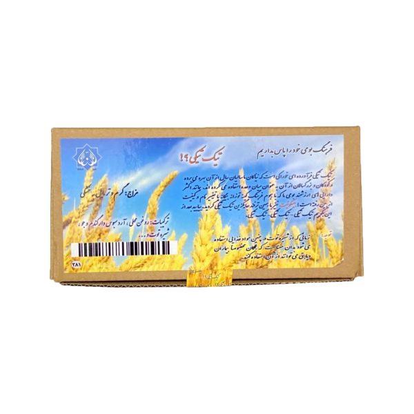 تیک تیکی